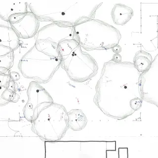 Tree Canopy Diagram